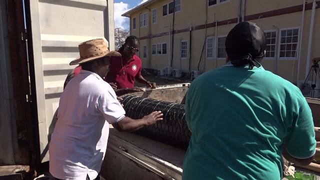 Fisher Mr. James Merchant of Hanley’s Road loads his gift of a roll of fish pot wire from the Federal Government on May 11, 2018