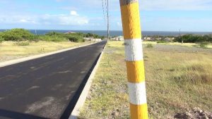 Some of the painted electricity poles on the eastern side of the newly reconstructed Shaws Road in Newcastle as part of the Shaws Road Improvement Project 
