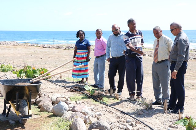 (L-r) Ms. Pauline Ngunjiri, Executive Director of the Nevis Historical and Conservation Society; Mr. Steve Reid, Acting Chief Extension Officer in the Department of Agriculture; and Mr. Huey Sargeant, Permanent Secretary in the Ministry of Agriculture; listen as Mr. Keithley Amory, Project Coordinator of the New River Coconut Walk Reforestation Project, speaks to Hon. Eric Evelyn, Minister of Social Development and Culture and Hon. Spencer Brand, Minister of Environment, Physical Planning, Public Works and Water Services about the tree planting programme at the St. James’ Parish on April 23, 2019