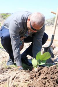 Hon. Spencer Brand, Minister of Minister of Environment, Physical Planning, Public Works and Water Services planting a Sea Grape tree at the Nevis Historical and Conservation Society’s New River Coconut Walk Reforestation Project in St. James’ Parish on April 23, 2019