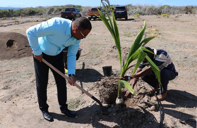 Hon. Mark Brantley, Premier of Nevis, plants a Malayan Dwarf coconut tree at the Nevis Historical Conservation Society’s New River Coconut Walk Restoration Project on April 23, 2019 with assistance from Mr. Keithley Amory, Project Coordinator