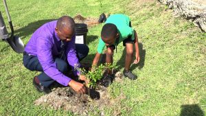 Hon. Eric Evelyn, Minister of Youth on Nevis, planting a fruit tree with a student of the St. Thomas’ Primary School at the school grounds on January 29, 2020, to launch a tree planting programme by the Ministry and Department of Agriculture on Nevis
