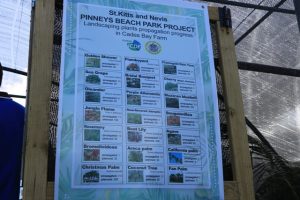 The progress board indicating the progress of landscaping plants propagation mounted at the site of a nursery Cades Bay on February 13, 2020