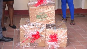Boxes of groceries donated  by Ms. Shelisa Glasford, Mrs. Pamela Martin and Ms. Lencia Percival to the Department of Gender Affairs’ Christmas Food Drive for the less fortunate on December 21, 2020