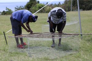 Participants building a fish trap at the Department of Gender Affairs’ Fish Trap Making Workshop for boys and young men at the Jessups Playing Field on May 08, 2021