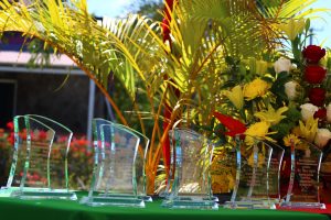 Plaques presented to 11 Nevisians by Her Honour Mrs. Hyleeta Liburd, Deputy Governor General on Nevis at an Awards Ceremony at Government House, in honour of their sterling contributions in the areas of Education, Health, Community Service, Business, Sports, Music and Culture in St. Kitts and Nevis on the occasion of the Federation's 38th Anniversary of Independence