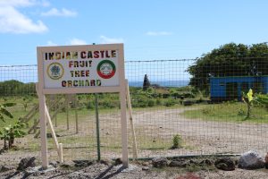 The entrance of the Indian Castle Fruit Tree Orchard  