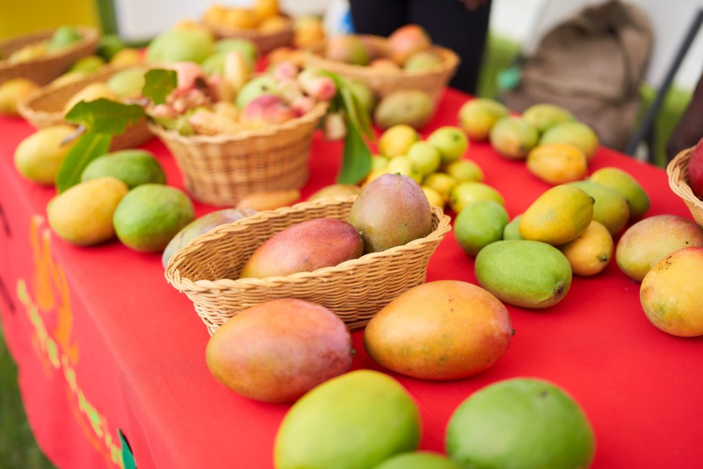 Some of the local mango varieties which awaits patrons during the Nevis Tourism Authority’s 9th annual Nevis Mango Festival